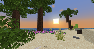 The beach biome during sunset