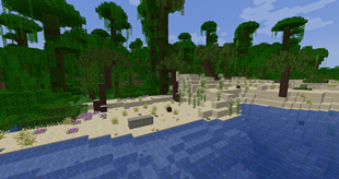 Enhanced Beach Biome