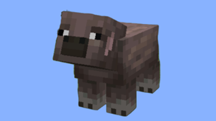 Cold Pig