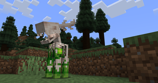 Deer Creeper
