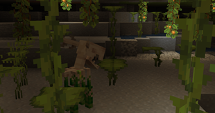 Deer Creeper in Lush Cave