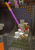 Cloned chicken farm