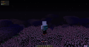 Backpack on Player (Diamond).png