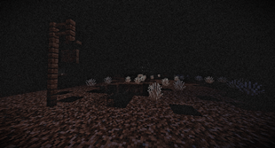 Deep in The Woods