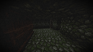 Deep in The Woods