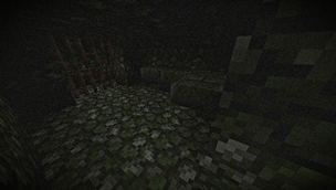 Deep in The Woods