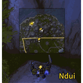 Ndui.gif
