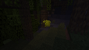 Spawn in mangrove swamp