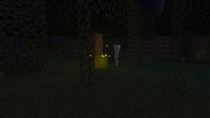 Spawn in swamp