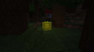 Spawn in dark forest