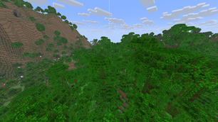 Jungle