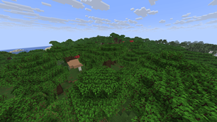 Dark Forest
