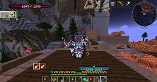 In game view.
