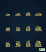 All Grass
