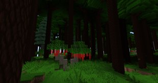 lush_1.png