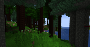 lush_2.png