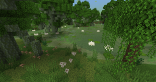 morass_1.png