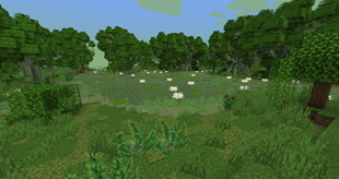 morass_3.png