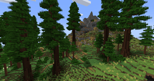 redwoods_mountain.png