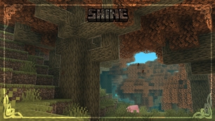 forest.jpg