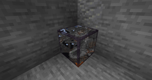 Accidental X-Ray Block in use