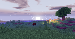 2026-05-21_17.21.47.png