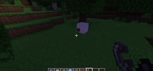 MinecraftNeoForge_1.21.1-2026-05-2120-35-16-ezgif.com-optimize.gif