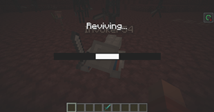 Reviving Fallen Player.png