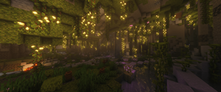 A screenshot