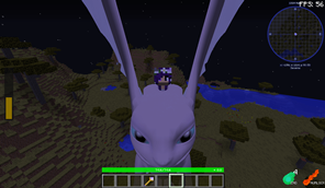 dragon rider