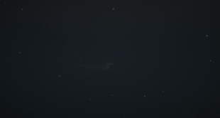 Deep sea shark