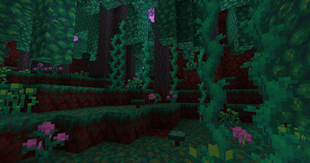 Warped Forest