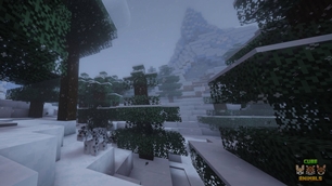 Snow Leopard
