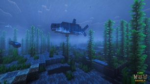 Shark