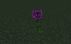 ss_18.png