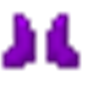botas de obserita.png