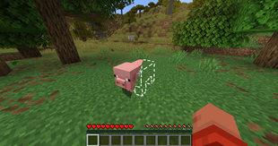 icon.png