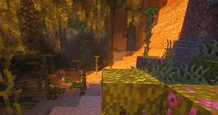 Euphoria Caves.png