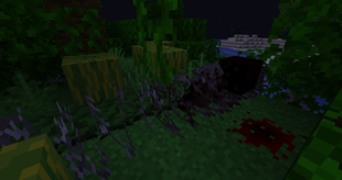 Barbed Wire