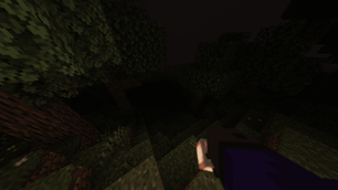 Too dark to see below