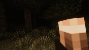 Torchlight