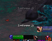 ZSBT PetInOut.png