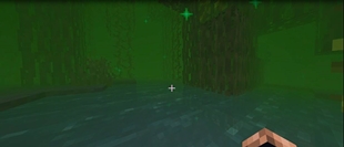 swamp