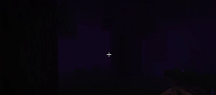 dark forest