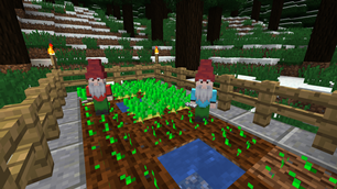 Gnomes.
