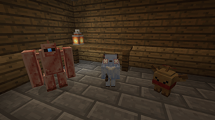 Genshin Companions.