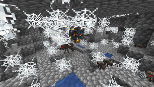 Spider Cave
