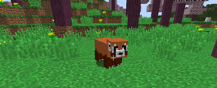 redpand.PNG