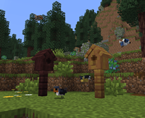 birds.png