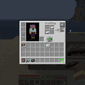 player inventory